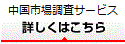 中国市場調査サービス